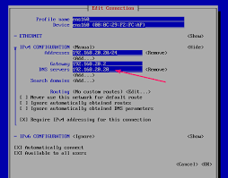 Configure Dns Server On Centos 8 Linux Hint