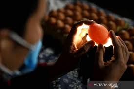 Pedagang menunjukan telur ayam daganganya. Ciri Telur Yang Sehat Dikonsumsi Antara News