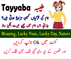 Tayyaba Name Meaning In Urdu Di 2020 Haiku Video Mainan