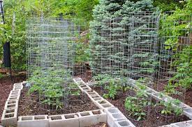 Vegetable Garden Fence Ideas Vegetable Garden Fencing Ideas The Healthnut Foodi Home Vegetable Garden Design Vegetable Garden Trellis Garden Layout Vegetable