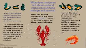 Among the blessings that allaah has bestowed upon us is the fact that he has made our religion easy for us, and has not made it too difficult or unbearable. Is Crab Halal Or Haram
