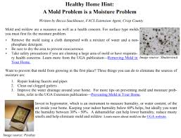 Mold Problems Mold And Mildew Healthy Environment Molding