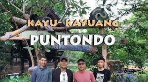 We did not find results for: Kesejukan Alam Pplh Puntondo Takalar Youtube