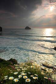 Cornwall United Kingdom By Gary King At Landscape Animals Nature Scenery Beautiful Nature