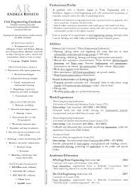 Personalizza il tuo curriculum vitae. Cv Curriculum Vitae Resume In Italiano O In Inglese Curriculum Vitae Redazione Lettera