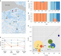 Adaptive And Non Adaptive Divergence In A Common Landscape