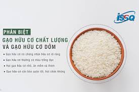Những điều cần biết về chứng nhận gạo hữu cơ đạt chuẩn TCVN 11041-5:2018