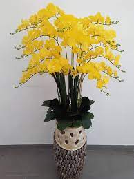 Berbagai macam bunga mawar, bunga tulip, bunga melati, bunga matahari, cocok untuk pacar bunga itu ungkapan cinta. Orkid Kuning 15 Tangkai 5 Kaki Wasp Gubahan Bunga Murah Facebook