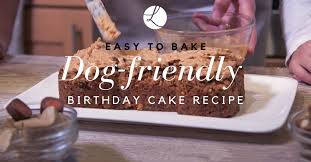 How to make a funfetti birthday cake for dogs | diy dog treats recipe 116. Dog Friendly Birthday Cake Recipe For Our Canine Friends