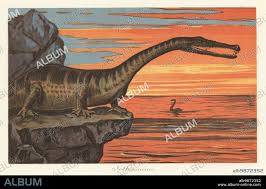 Image result for Nothosaurus