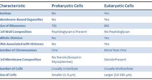 Maybe you would like to learn more about one of these? Eukaryotic Cell Cell Membrane Prokaryotic Cell