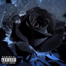 Bow Wow Wish I Never Met Her Black Rose Flower Rose Seeds Black Rose