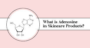 Image result for Adenosine