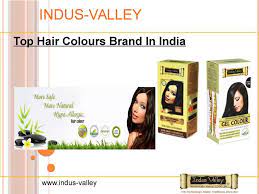 Pin On Indus Valley