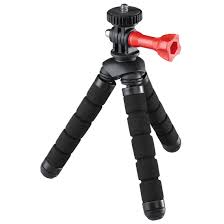 Penyakit yang umumnya menyerang kaktus disebabkan oleh bakteri dan cendawan. 00004313 Hama Mini Stativ Flex 2in1 Fur Fotokameras Und Gopro 14 Cm Hama De