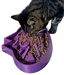 From scratching posts, toys, and bowls, you can find everything that your cats need and then some more. Review Of The Slow Feed Cat Bowl Must Read