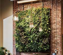 Industrial Green Wall Green Wall Green Wall Design Wall Planters Outdoor