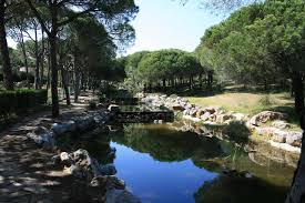 Maybe you would like to learn more about one of these? The 10 Best Things To Do In Castro Marim 2021 With Photos Tripadvisor