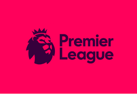 Image result for epl/npfl logo