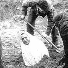 images?q=tbn:ANd9GcSrRWYSF5-kBIx5hAQO6eM