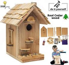 Bird House Kits For Adults Amazon Amazon Com Sparkjump Birdhouse Craft Kit Premium Cedar Wood For Outside Bird Feeder Kids Arts A In 2020 Birdhouse Craft Arts And Crafts For Kids Diy Woodworking