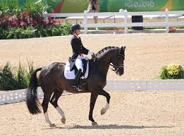 In jumping, veteran nick skelton , part of the gold medal winning great britain jumping team from 2012 , returned to take the individual title on big star , his 2012 gold winning horse. Individual Dressage Freestyle Dujardin And Valegro Golden Again Horse Sport