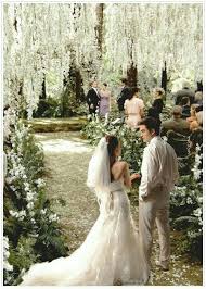 Edward saves her from being crushed between her truck and tyler crowley's car after it slips on ice in. Pin Von Tinascharitzer Auf Twilight Saga Breaking Dawn Hochzeit Bella Und Edward Hochzeit Zauberwald Hochzeit