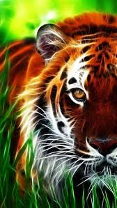94 Best 3d Wallpapers For Mobile Binatang Warna Gambar