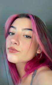 See more ideas about charlie video, famous girls, rare photos. Pin By Maah On Charli D Amelio Pink Hair Punk Hair Grunge Hair