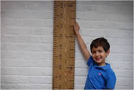 Wooden Ruler Height Chart
