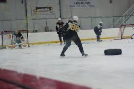 Providence Bruins Puck Sage