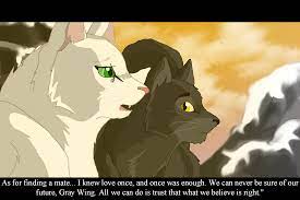 Code of the clans warrior's field guide: Believing What Is Right By Thewolfpack15 On Deviantart Warrior Cats Fan Art Warrior Cats Books Warrior Cats