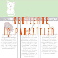Zoom Veteriner Klinigi Posts Facebook