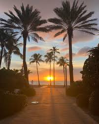 Hannah Kinkade (@hk.gfw) • Instagram photos and videos