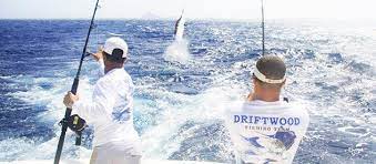 Best Restaurant Aruba Seafood Restaurant Aruba Lobsters Restaurants Aruba Fishing Tours Fishing Charters Sea Fishing