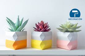 De distintas formas y tamaños, lo ideal es que juegues con ellas combinándolas en un mismo espacio o, incluso, en el mismo macetero dando lugar a originales composiciones llenas de. Macetas Con Cactus Conoce La Tendencia Cocina Y Hogar