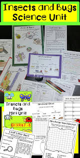 Biotic Factors In The Amazon Rainforest Australian Year 3 Resources And Ideas Image By Miss Rainbow Education Elementary Education Science Primary School Curriculum Elementary Science Units