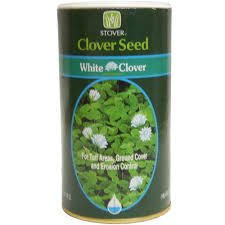 Stover Seed White Clover Seed 73010 6 At The Home Depot 6 97 Clover Seed Trees To Plant Seeds