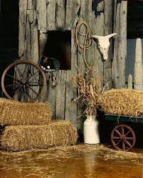 We've got all the western and horse themes covered in our bathroom decor: Country And Western Decorations Cheap Online Shopping