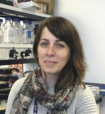 BSCB newsletter 2019a:BSCB aut2k7