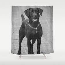 Stop Neglecting Bathroom Decor Our Designer Shower Curtains Bring A Fresh New Feel To An Overlooked Space Hookles Black Labrador Dog Labrador Dog Dog Shower