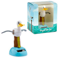 Seagull Solar Pal - Finnegan's Corner