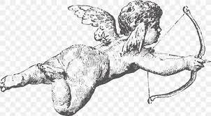 See more ideas about cherub tattoo, tattoo designs, tattoo drawings. Cherub Drawing Cupid Sketch Image Png 1024x569px Cherub Angel Arm Art Artwork Download Free