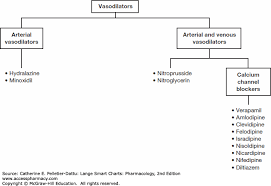 Medications Affecting Cardiac And Renal Function Lange