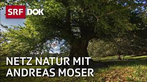 Biologe andreas moser moderiert die natursendungen. Gefuhle Und Wahrnehmung Bei Pflanzen Netz Natur Mit Andreas Moser Doku Srf Dok Youtube