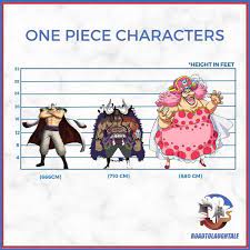 Size Matters: Why are one piece characters so tall?