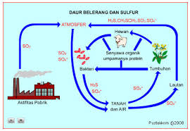 We did not find results for: Sulfur Dioksida Pengen Tau Com