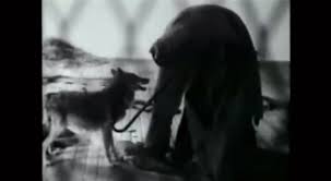 Watch popular content from the following creators: Joseph Beuys The Museum For Insects