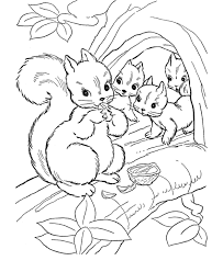 Eichhornchen 4 Ausmalbilder Ausmalbilder Kinder Herbst Ausmalvorlagen