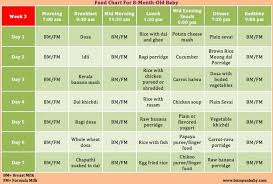 which food can be given for 8 months baby a sample food